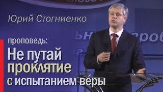 Не путай проклятие с испытанием веры  - Юрий Стогниенко, 2013