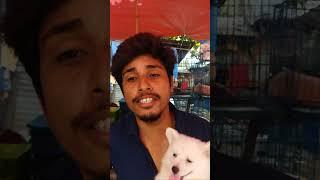 Galiff Street Pet Market Live Video 2024 Kolkata Latest Update | Dog Price Live