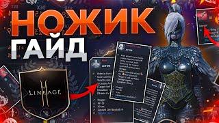 [Lineage2M] Большой полный гайд по Ножам Разбойникам. АВ, ПВ, ТХ.