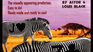 Zebra Code Prediction (Astor & Louis Black)