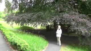 A Visit to Coole Park on an Ireland RnR Tour