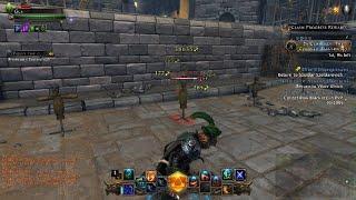 Neverwinter Grung + Snow Leopard + Band of Air Testing (don't buy anything!)