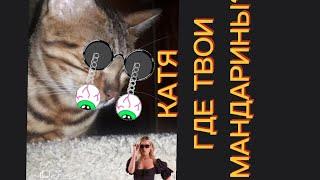 КОТ:Катя, Домывай Одевай Лифчик.cat:Katya, Come On, Put On Your Bra