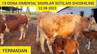 SIMENTAL SIGIRLAR SOTILADI FERMADAN ️ 97 583 01 17 ️@Hikmatillo_uz