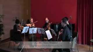 Alberto Agut plays Weber Clarinet Quintet In B Flat Major Op.34: IV. Rondo