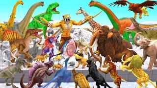Dinosaurs vs Animals vs Saber Tooth Tiger Vs Mammoth Speed Race Zigzag Course Animal Revolt Battle
