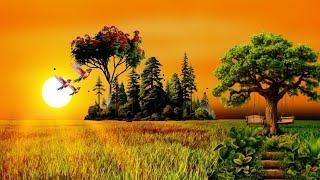 Sunset background | background video nature | nature landscape | copyright free video #sunset