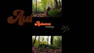 Autumn Feelings | DJI OSMO POCKET 3 #djiosmopocket3