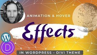 Animation and Hover Effects in DIVI Theme for Wordpress