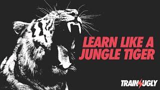 Learning Like a Jungle Tiger