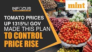Tomato Prices Shoot Up By 1315%; Centre Made This Plan To Control Price Rise | Details | In Focus
