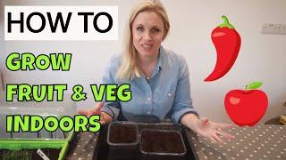 How to grow vegetables indoors without any equipment - getting started