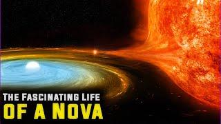 The Fascinating Life of a Nova: What happens during this explosive stellar event?