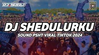 DJ SHedulurku (Rindii Safira) - Sound PSHT Viral Tiktok 2024 || DJ Tebaz