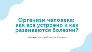 Вебинар "Организм человека: как все устроено и как развиваются болезни?" - 17.07.24