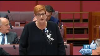 One Nation Senator Peter Georgiou questions the Defence Minister over PFAS Contamination