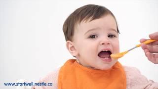 Hunger and Fullness Cues for Baby 8-12 months