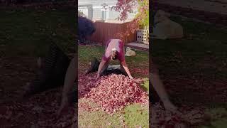 Leaf Raking Hack #diy #rakingleaves