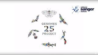 Sanger Institute - 25 Genomes for 25 Years Introduction