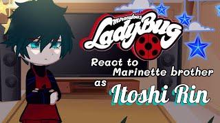 MLB react to Marinette brother as Itoshi Brothers (Rin) | Part 1/3 | MLB x Blue Lock