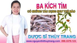 Ba kích là gì? Tác dụng của ba kích như thế nào