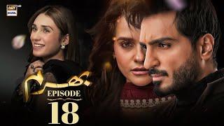 Bharam Episode 18 | Hina Tariq | Rabya Kulsoom | Omer Shahzad | 20 Dec 2024 (Eng Sub) | ARY Digital