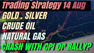 CPI Inflation News : Forex Gold | Silver | Crude Oil | Natural Gas: Crash or Rally? Daily Analysis