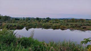 Жизнь в Деревне/Ездила в город/Получила посылку/