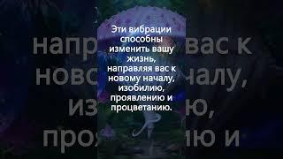 Испытайте Чудеса: 555 Гц Эффект Бабочки – Ключ к Бесконечному Изобилию #555