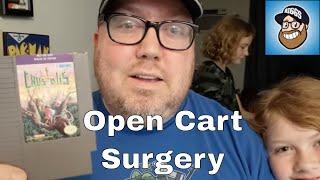 Open Cart Surgery - Crystalis for NES