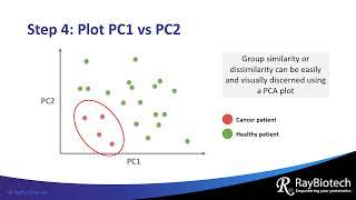 Principal Component Analysis Explained