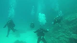 Hurgada diving 2019 27