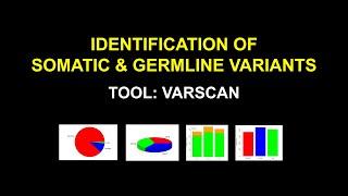 Somatic Variant Calling Tutorial | Identify somatic and germine variants  using varscan