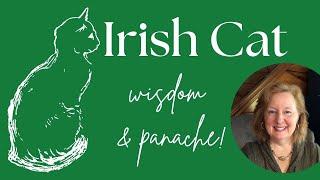 3 Lessons from Irish Cats  and a couple bonus kittens! #ireland #cat #creative