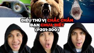 TẤT CẢ Những Điều Thú Vị Có Thể Bạn Chưa Biết (Phần 201-300)