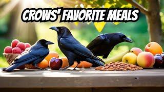 The Best Foods for Feeding Crows