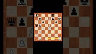 Can you find this mad combination? #chess #chessgame #шахи