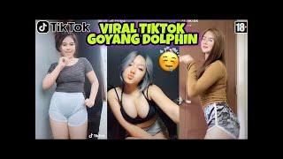 TIK TOK VIRAL DOLPHIN DANCE -GOYANG PINGWIN PALING PANAS.