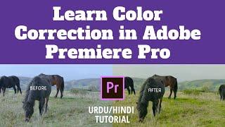 Learn Color Correction in Premiere Pro cc | Urdu/Hindi tutorial