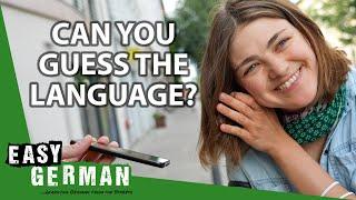 Germans Try To Guess The Language | Easy German 418