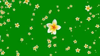 Flower Green Background Video Effects HD