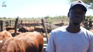 The Breakfast Club | Richard Chinhamo | Cattle Breeder / Farmer | Stock feed | S05EP53