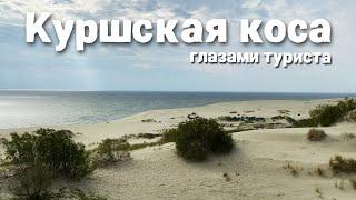 Куршская коса глазами туриста