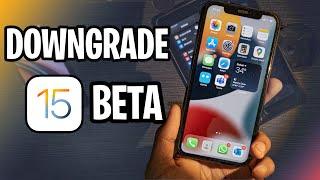 Downgrade from iOS 15 to iOS 14 without losing DATA!!!