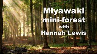 Mini-forests - Hannah Lewis discusses the Miyawaki Method