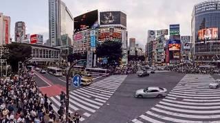 Shibuya Crossing Timelapse 360VR 8K