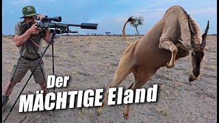 Auf der Jagd nach dem Eland: Ein aufregendes Abenteuer in Namibia