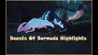 Beasts Of Bermuda - Stream Highlights 02/23/2020