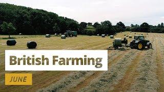 British Farming | 12 Months On A UK Farm: June