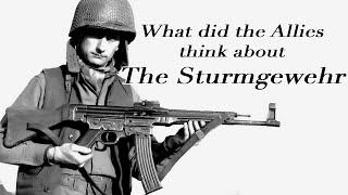 What did the Allies think about the Sturmgewehr MP43/44 StG 44